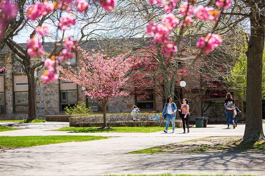 Students walking on campus